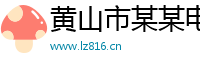 黄山市某某电子打标设备服务中心